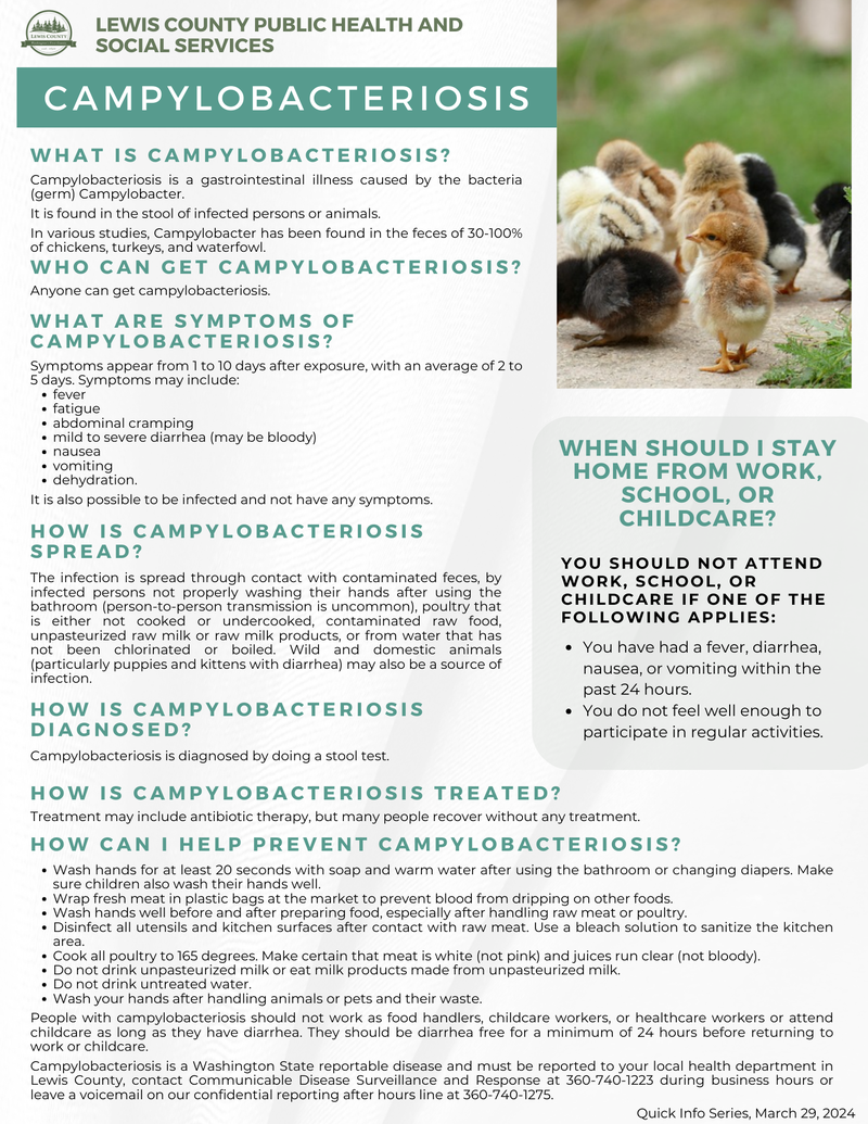 Campylobacteriosis - English