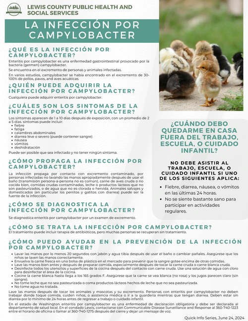 Campylobacteriosis - Spanish