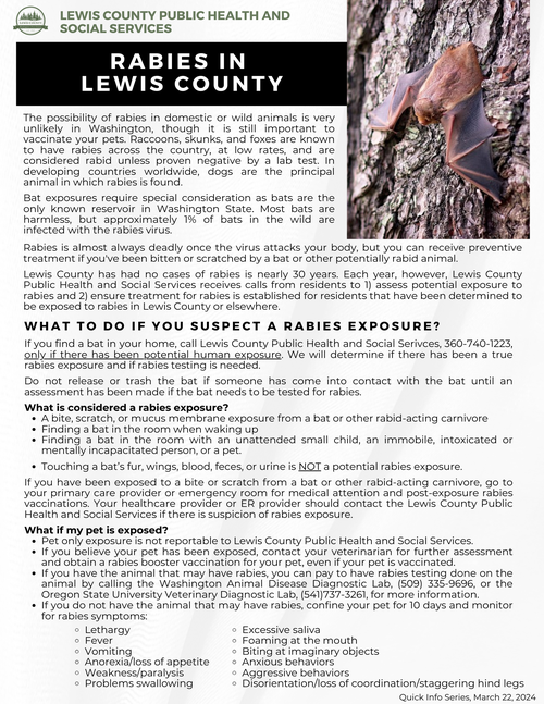 Rabies in Lewis County - English
