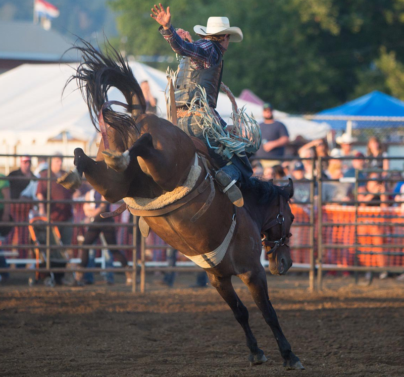 SWW Fair Rodeo.PNG