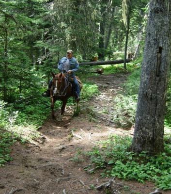 NORTHWEST HORSEBACK SEARCH AND RESCUE