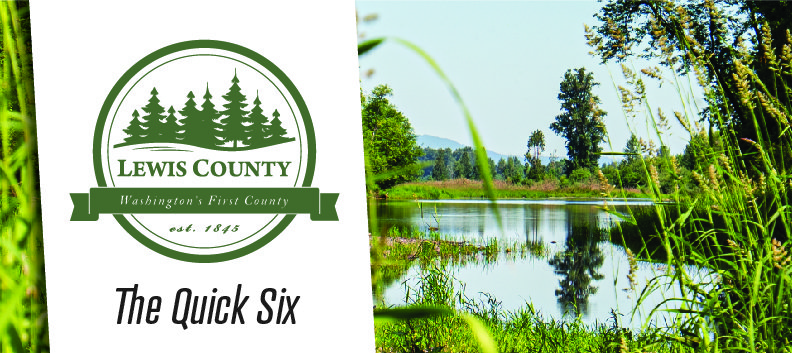 The-Quick-6-Header-v01-04 (1).jpg