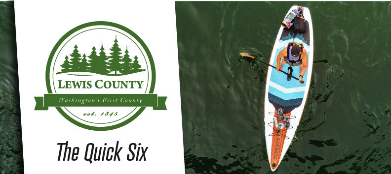 The-Quick-6-Header-v01-05 (1).jpg