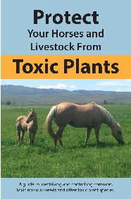 Toxic Plants