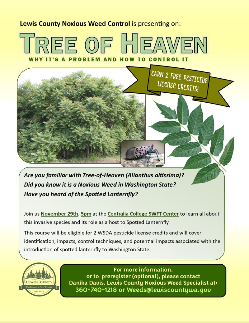 Tree of Heaven flyer.jpg