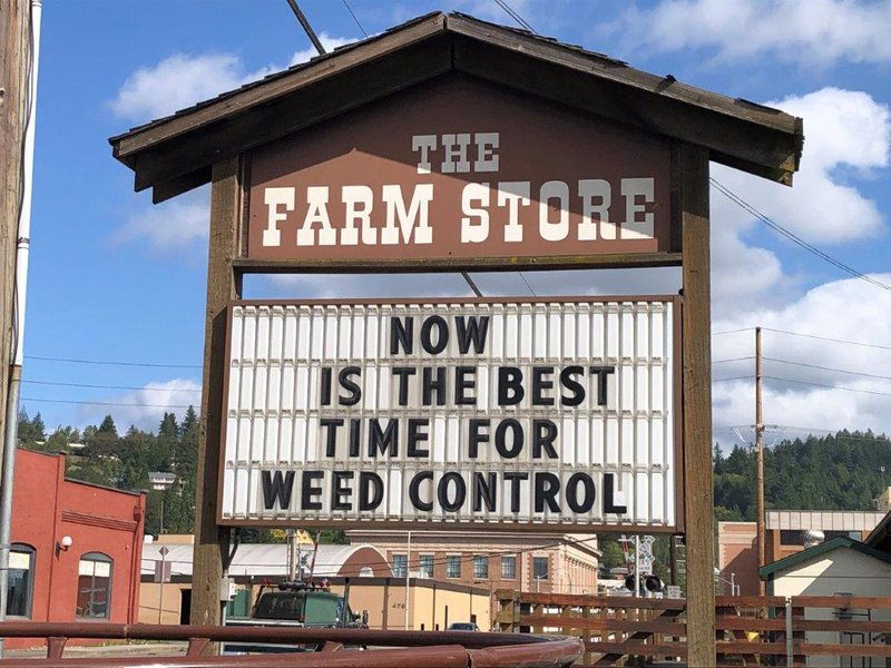 farm store weed control 2019 (002).jpg